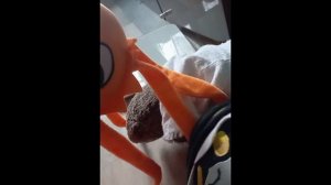 Кот Фантик: 4 сезон, 7 серия. (Финал сезона) Независимость.