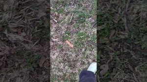 застряли на острове Цыцыганов!