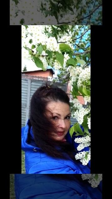 С Днем рождения! Праздник у меня. 8 апреля. Помолодела снова на 1 год. Подарок видео от подруги