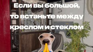 Видеообучение СД Токио