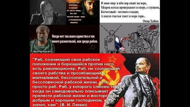 9.  Ум на блюде. (Опять пустые разговоры). Авторы Чкония Даниил + Ирина Артюхина