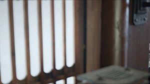 18.1 Божественное дерево (Китай 2025)