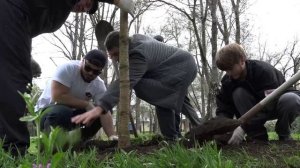 Медицинский центр «Витамед» высадил «Аллею здоровья» в Черкесске