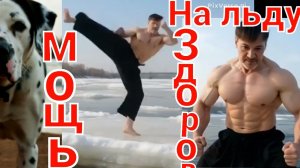 На льдине по реке боевое искусство. Тренировка БоевойСамотренинг.