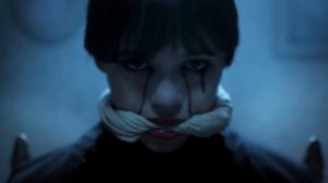 Кто тоже любит Wensbay?