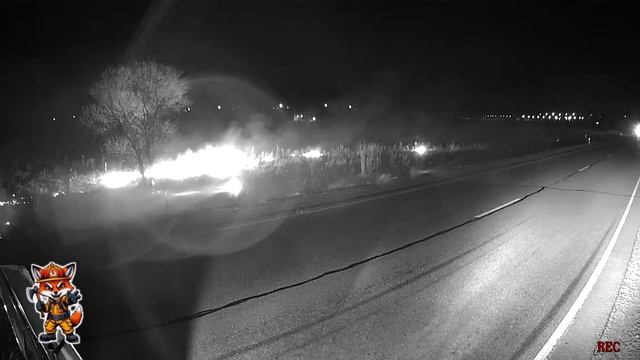 Безнаказанность делает нарушителей смелыми и уверенными!