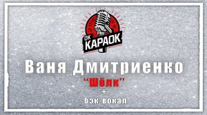Ваня Дмитриенко-Шёлк (КАРАОКЕ с бэк-вокалом)