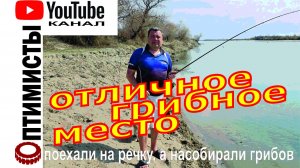 Сбор белых степных грибов и отдых не речке