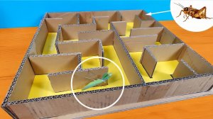 Что если Богомол и Сверчок окажутся в лабиринте