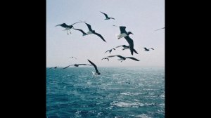 Gosha Axe - Моё море