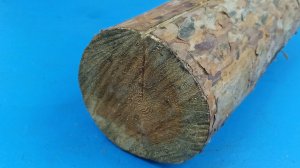 Отличная идея из обычного пенька