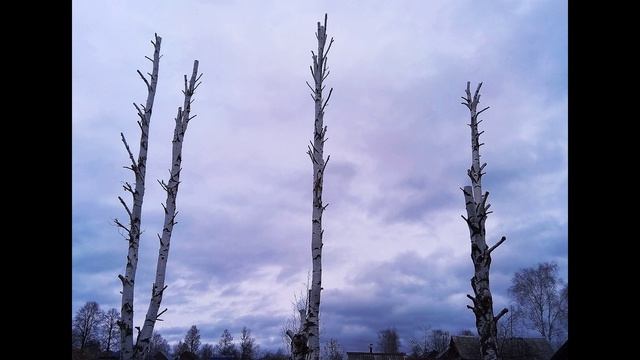 М. Лермонтов. Я не унижусь пред тобою...