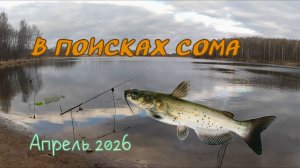 Ловля сома на уклейку.Десногорское водохранилище.