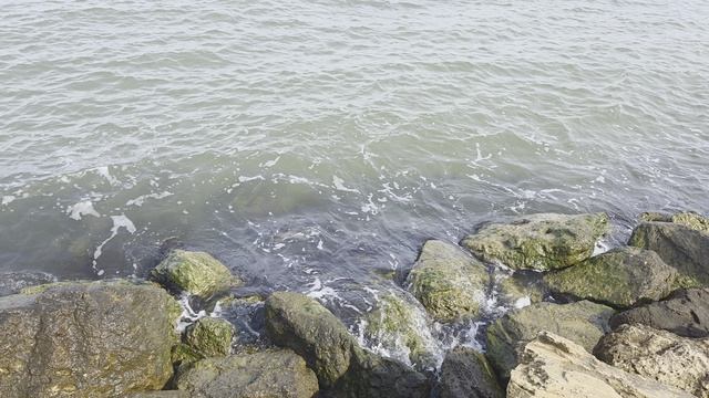 Таманский берег сегодня