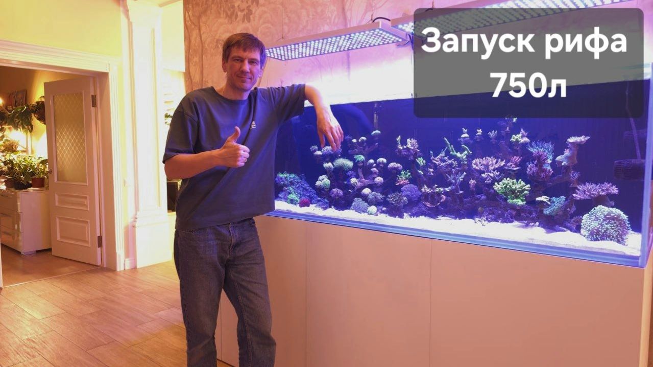 Новый риф 750л