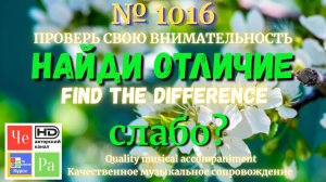 "Найди отличие" / "Spot the Difference"_ выпуск  1016