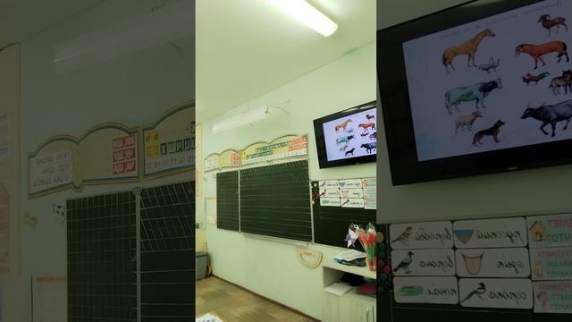 Урок окружающего мира на тему: Дикие и домашние животные, 1 часть