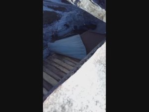 Ветер рвёт крышу балкона The wind is tearing the roof off the balcony