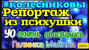 Колесниковы _Репортаж из психушки _УО опять об😁срались _Обзор Влогов _