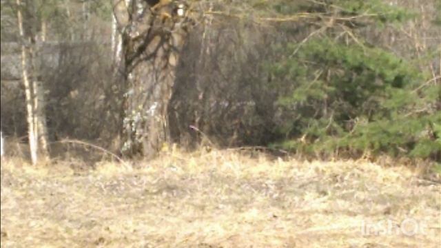 НАША ЗОНА САМАЯ КЛЁВАЯ,ИДУ НАБИРАТЬ СИЛ💪💪💪💪💪💪💪💪💪💪💪💪👀👀👀