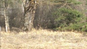 НАША ЗОНА САМАЯ КЛЁВАЯ,ИДУ НАБИРАТЬ СИЛ💪💪💪💪💪💪💪💪💪💪💪💪👀👀👀