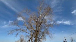 Корзников Марк. Февраль. Борис Пастернак