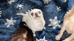 Доброго всем утречка и самого чудесного начала дня!