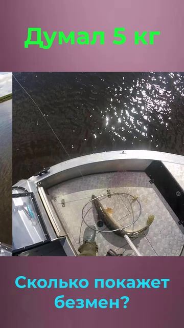 Думал 5 кг