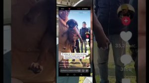 РАЗОБЛАЧЕНИЕ МУСЫ КАК ОН ВСЕХ ОБМАНУЛ ПОСТАНОВОЧНЫМ СПАСЕНИЕМ ЩЕНКА