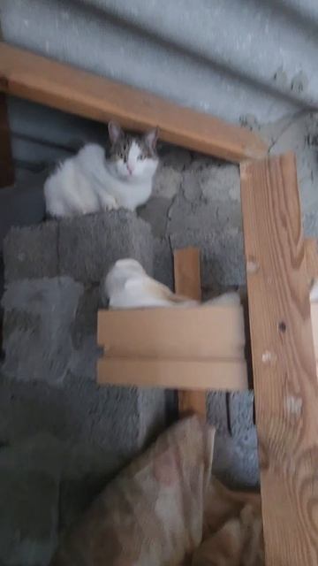 Весенние работы