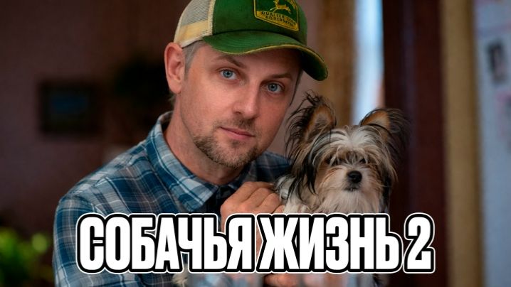 ЗУБАРЕВ СМОТРИТ  СОБАЧЬЯ ЖИЗНЬ 2