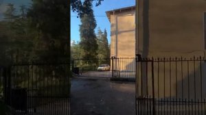 #СОЧИ #ХОСТА 8 апреля 🥶