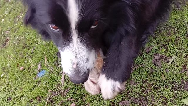 3 часть ( Магазин)