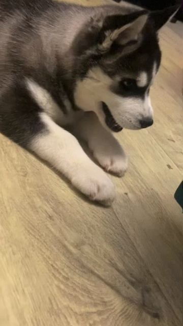 ScreenRecording_04-08-2026 23-29-16_1