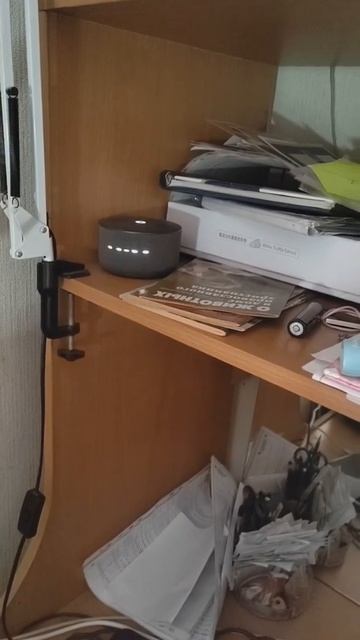 Алиса чудит