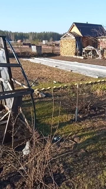 8 апреля 2026 года