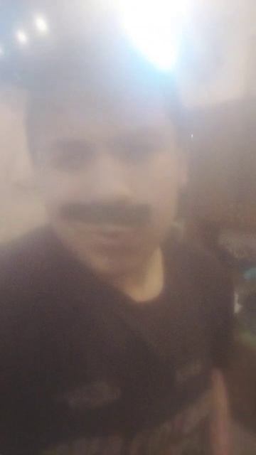 Кот в своей семье😁 #shorts