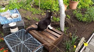 У нас ночью был снег