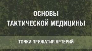 3. ТОЧКИ ПРИЖАТИЯ АРТЕРИЙ