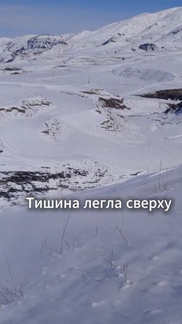 Тишина легла сверху