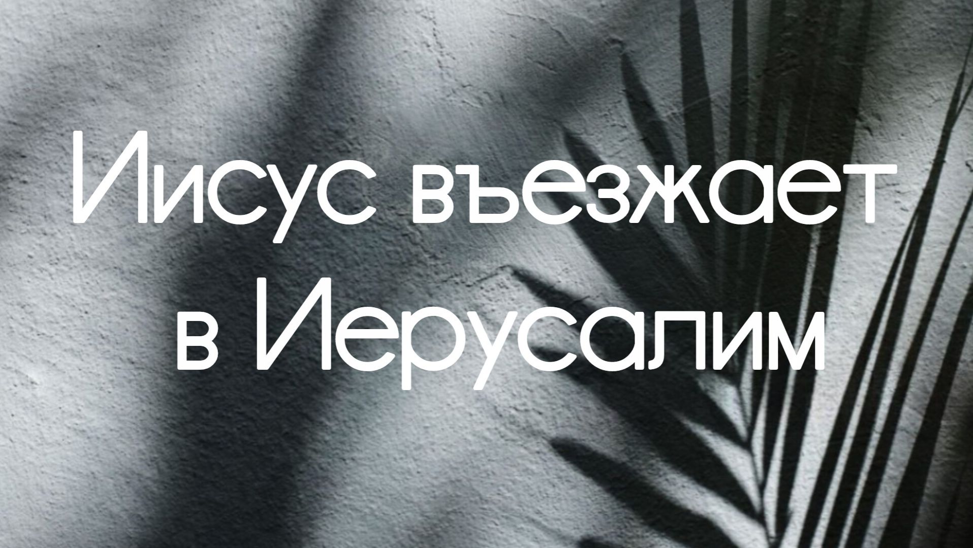 Иисус въезжает в Иерусалим || Соло (Владимир Фоменков)