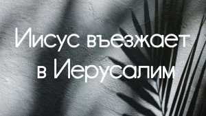 Иисус въезжает в Иерусалим || Соло (Владимир Фоменков)
