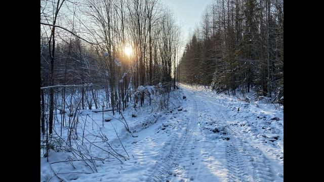 Н. Некрасов. Пролог (отрывок). "Кому на Руси жить хорошо"