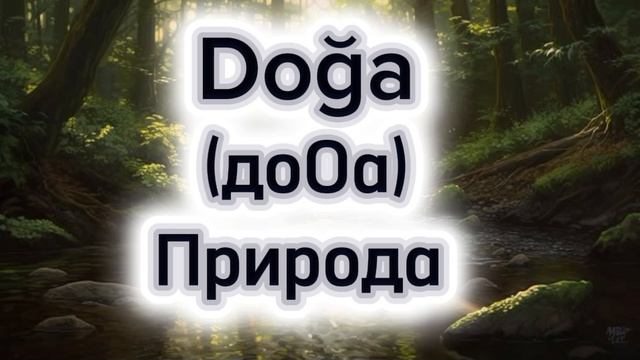 Добро пожаловать на канал о турецком языке 🇹🇷💙