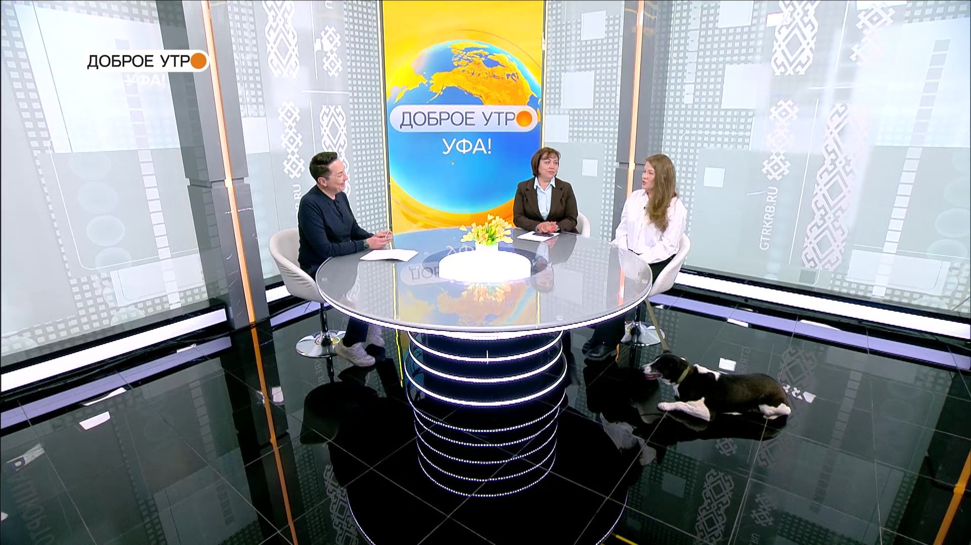 "Доброе утро, Уфа!" - Фестиваль итальянского кино и субботник для собак