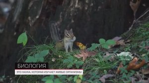 Главные признаки живых организмов