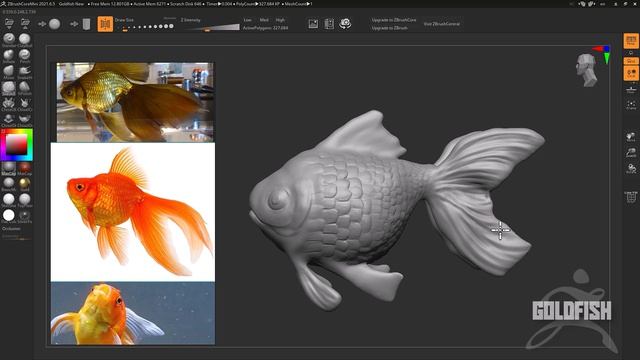 07 Goldfish Sculpt