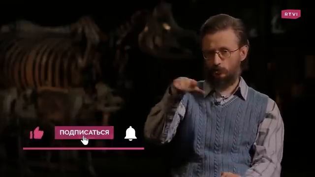 Что есть человек и когда он стал самим собой. Дробышевский смотреть онлайн