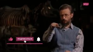 Что есть человек и когда он стал самим собой. Дробышевский