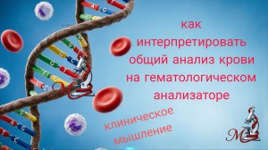 Как интерпретировать  общий анализ крови